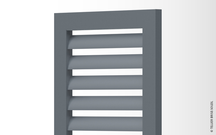 Lames ailes d'avion I Australe