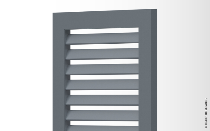 Lames oblongues I Australe